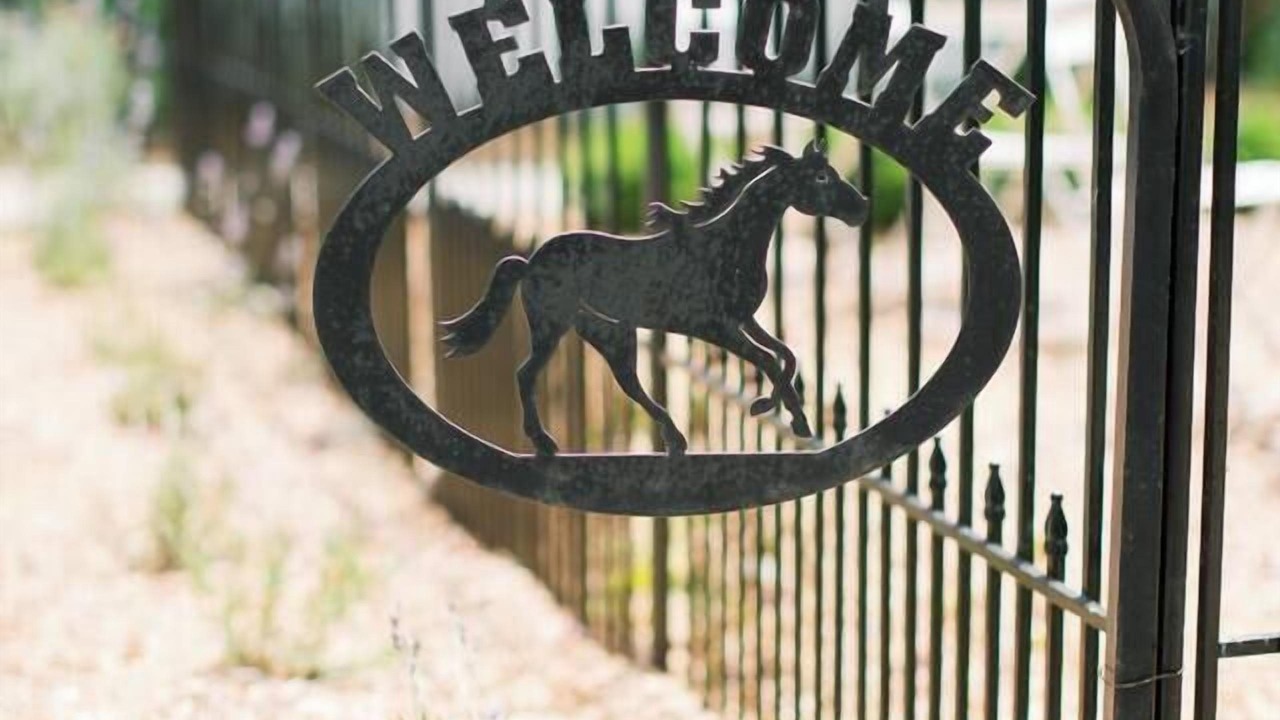 Photo of Others in Medford