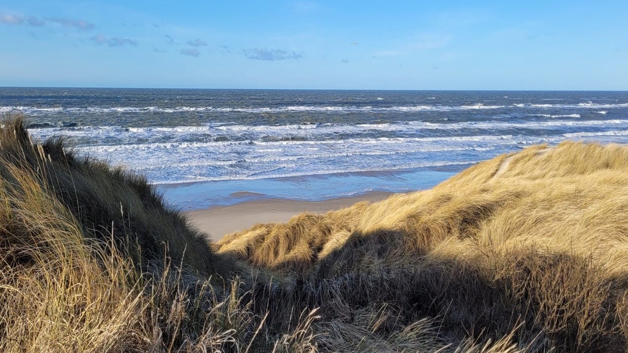 Photo of Outdoor in Hvorup Klit