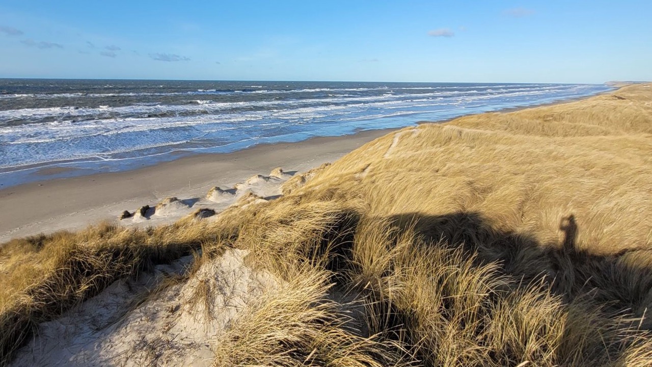 Photo of Outdoor in Hvorup Klit