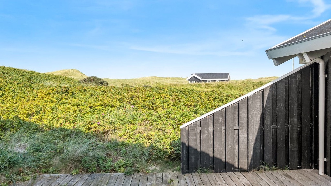 Photo of Others in Hvorup Klit