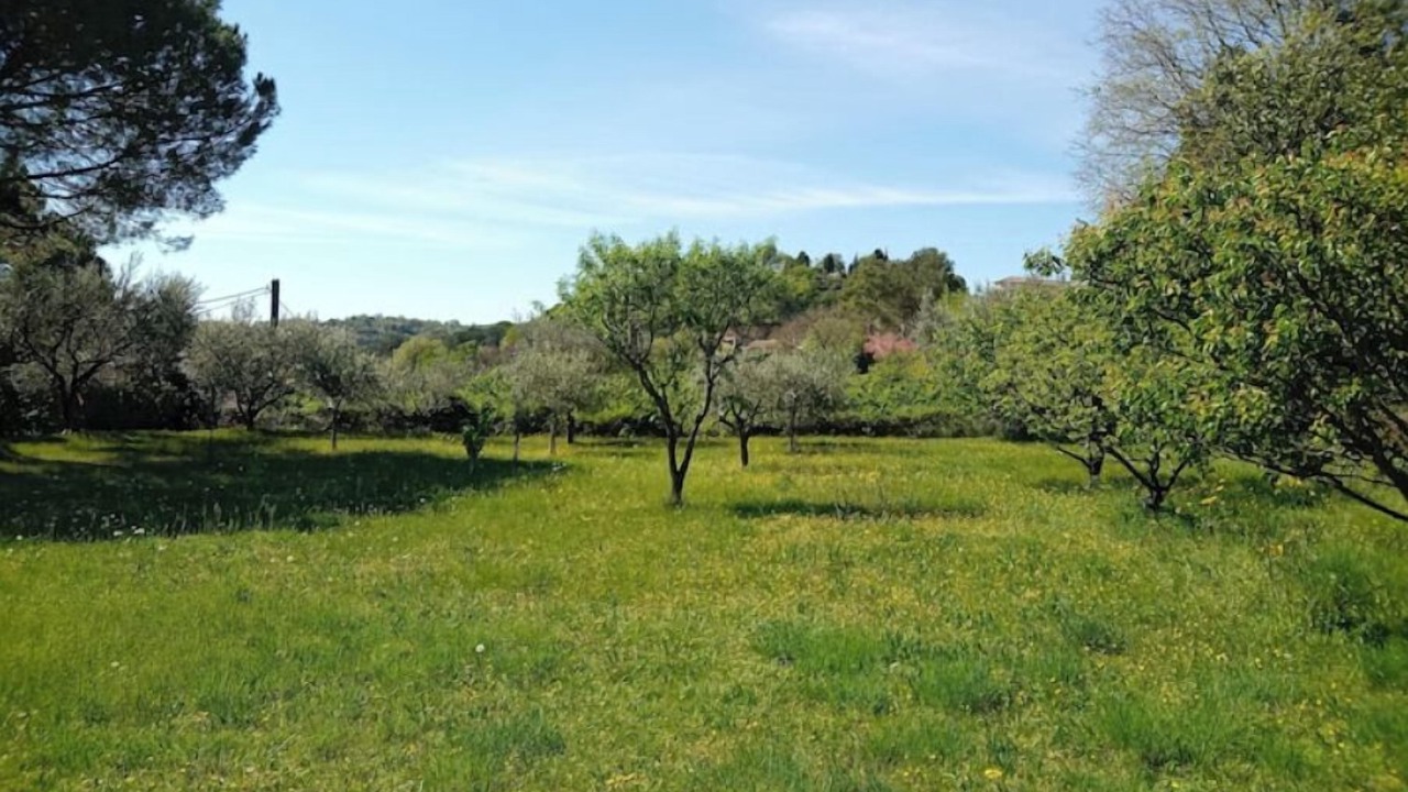 Photo of Outdoor in Saint-Julien-de-Peyrolas