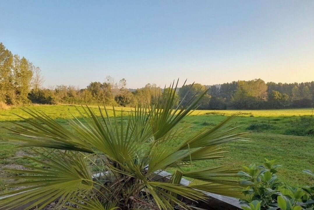 Photo of Outdoor in Periers-en-Auge
