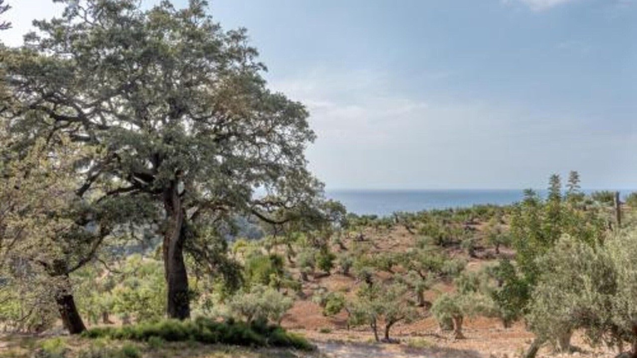 Photo of Others in Malgrat de Mar