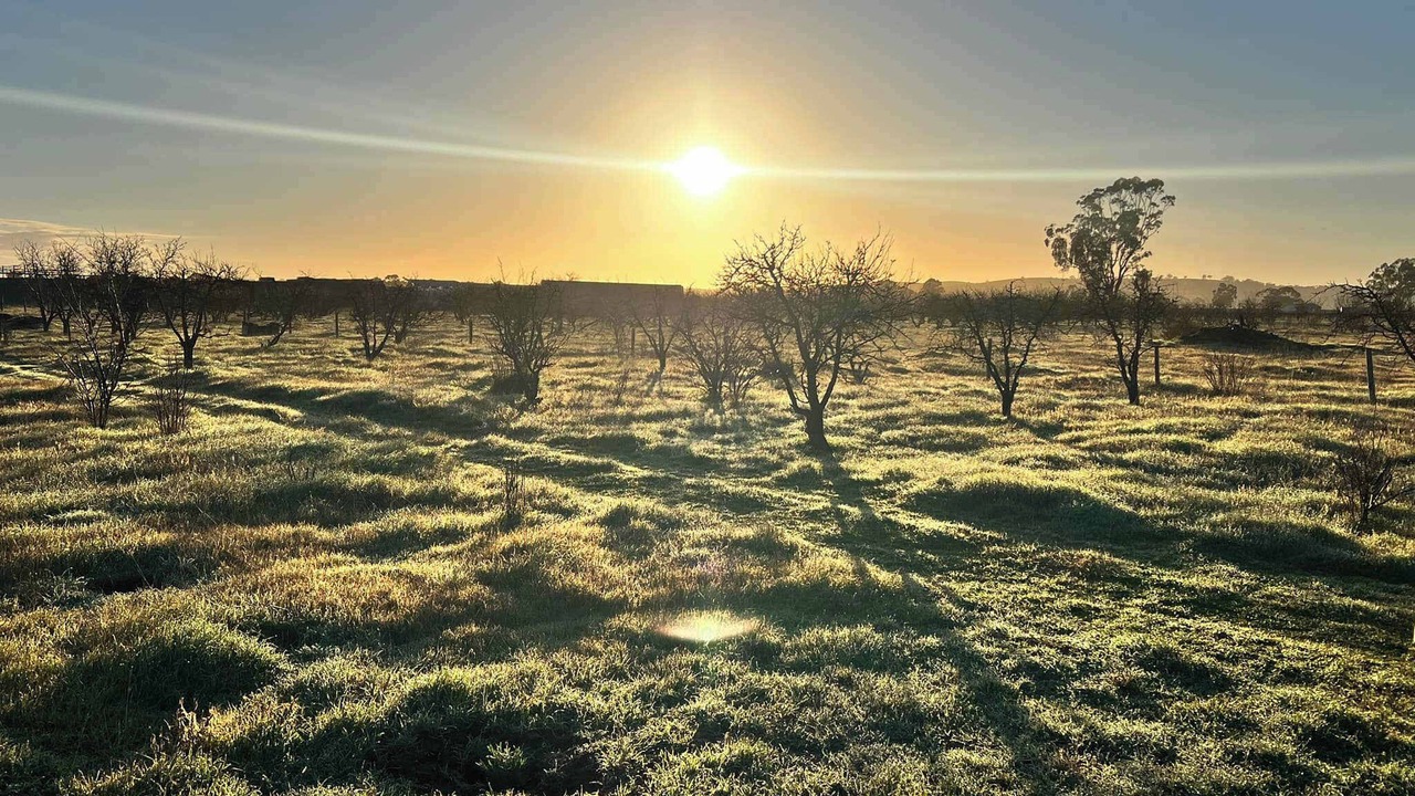 Photo of Others in Stockwell