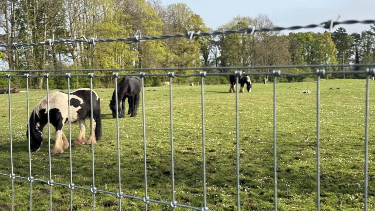 Photo of Others in Berwick-upon-Tweed