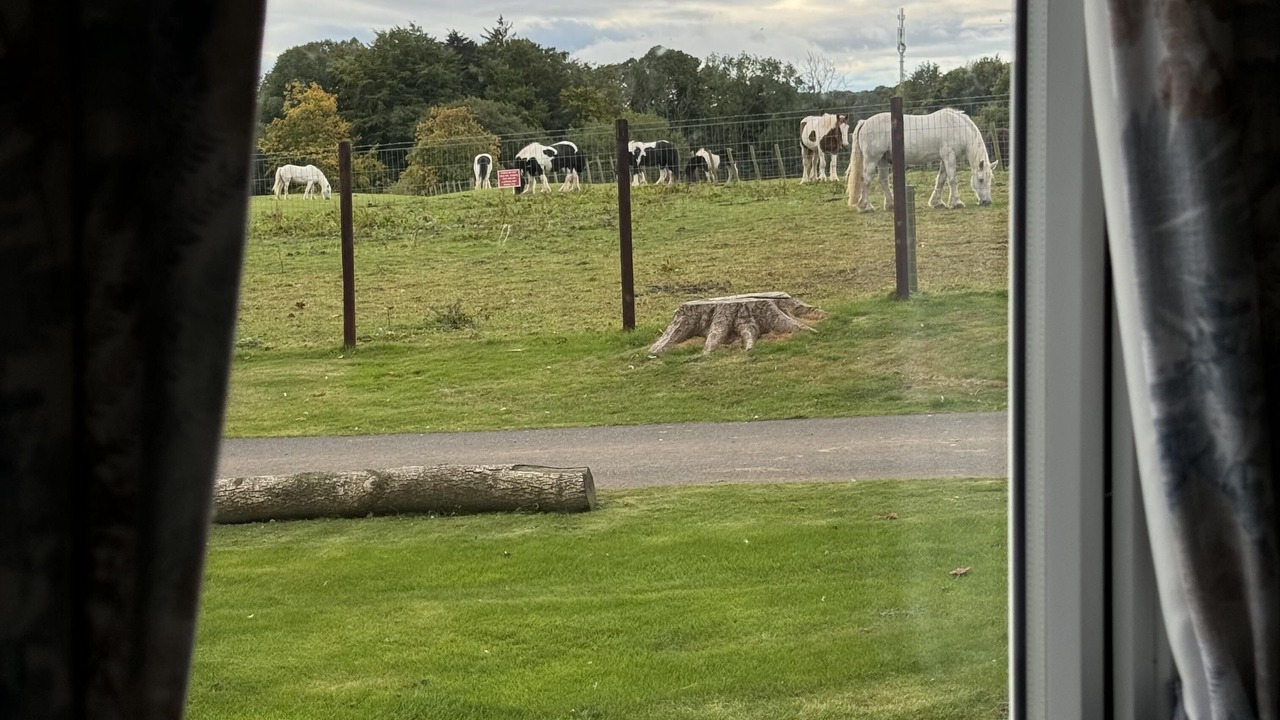 Photo of Others in Berwick-upon-Tweed