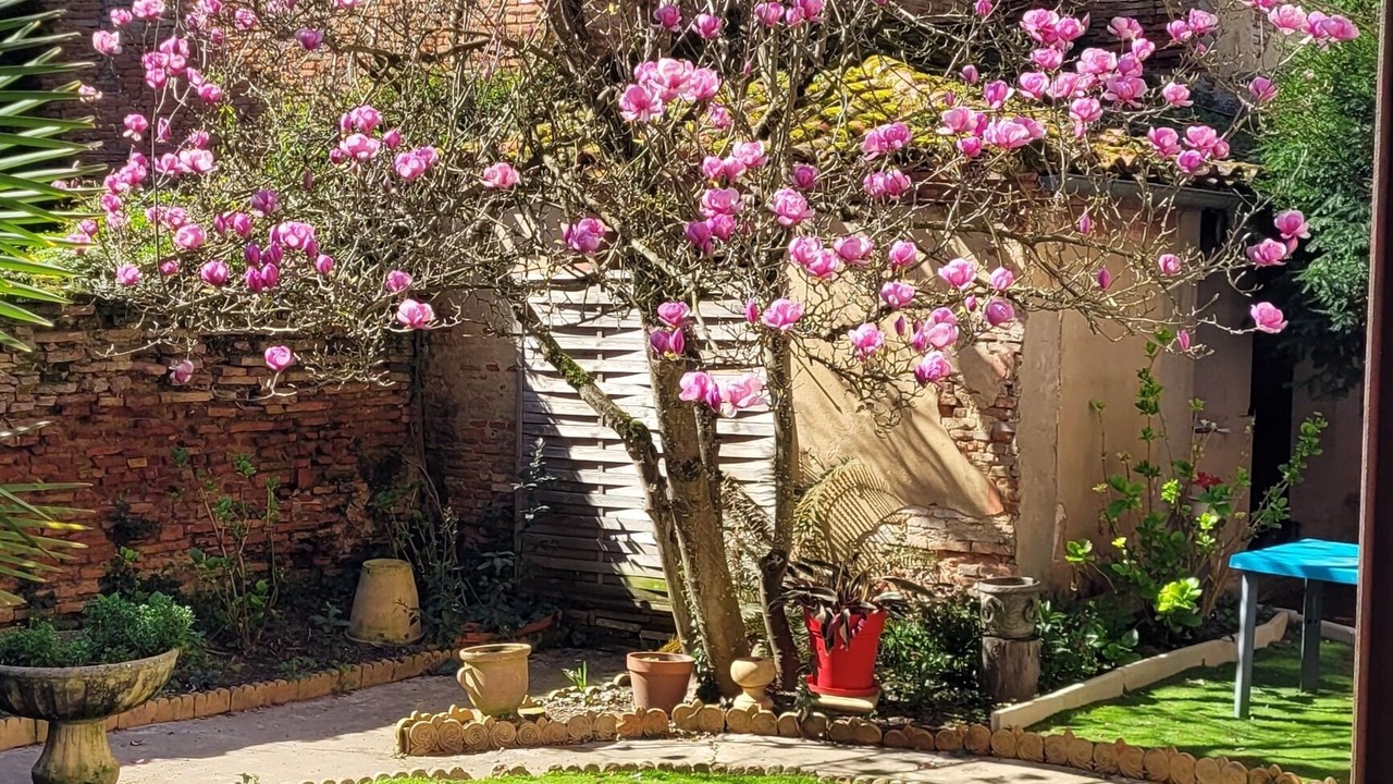 Photo of Outdoor in Beaumont-de-Lomagne