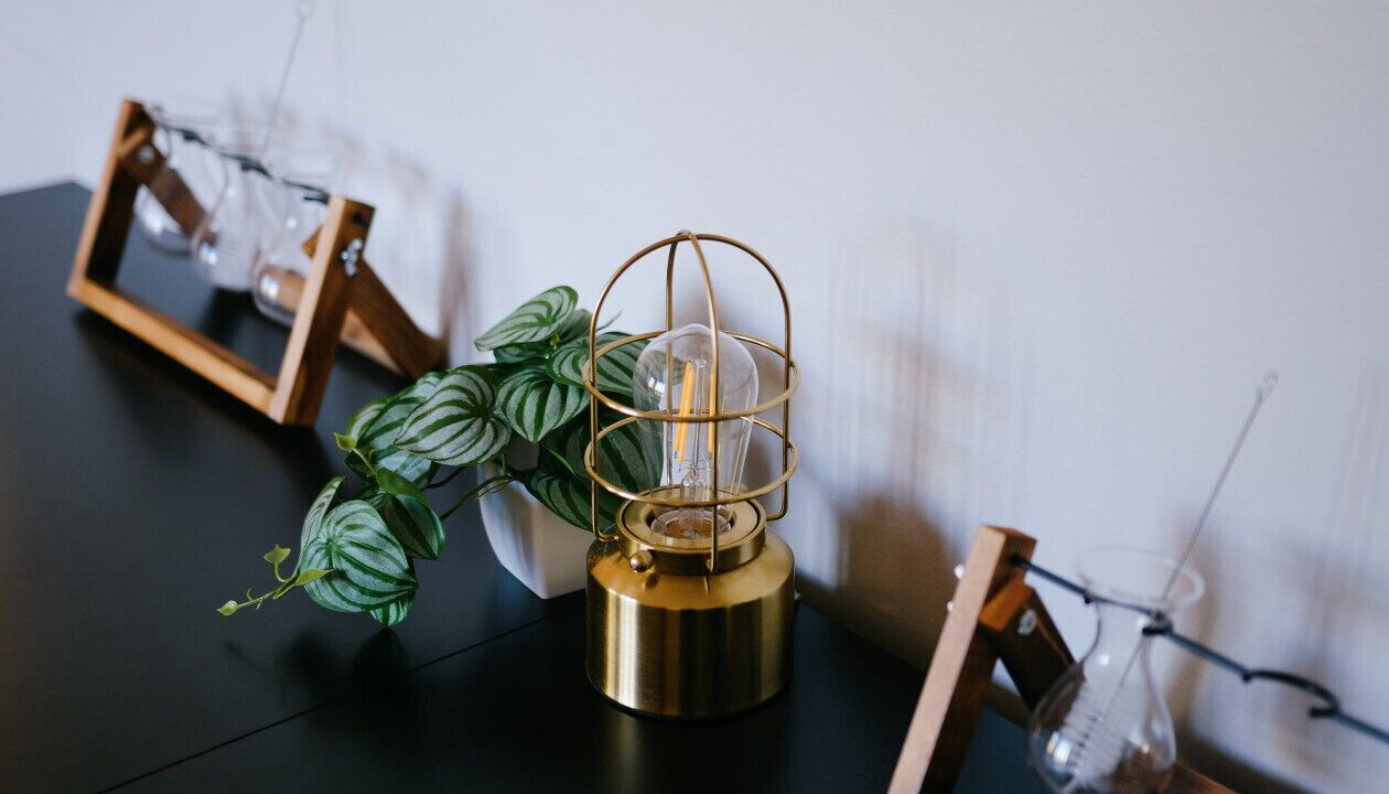 Photo of Others in Dunning