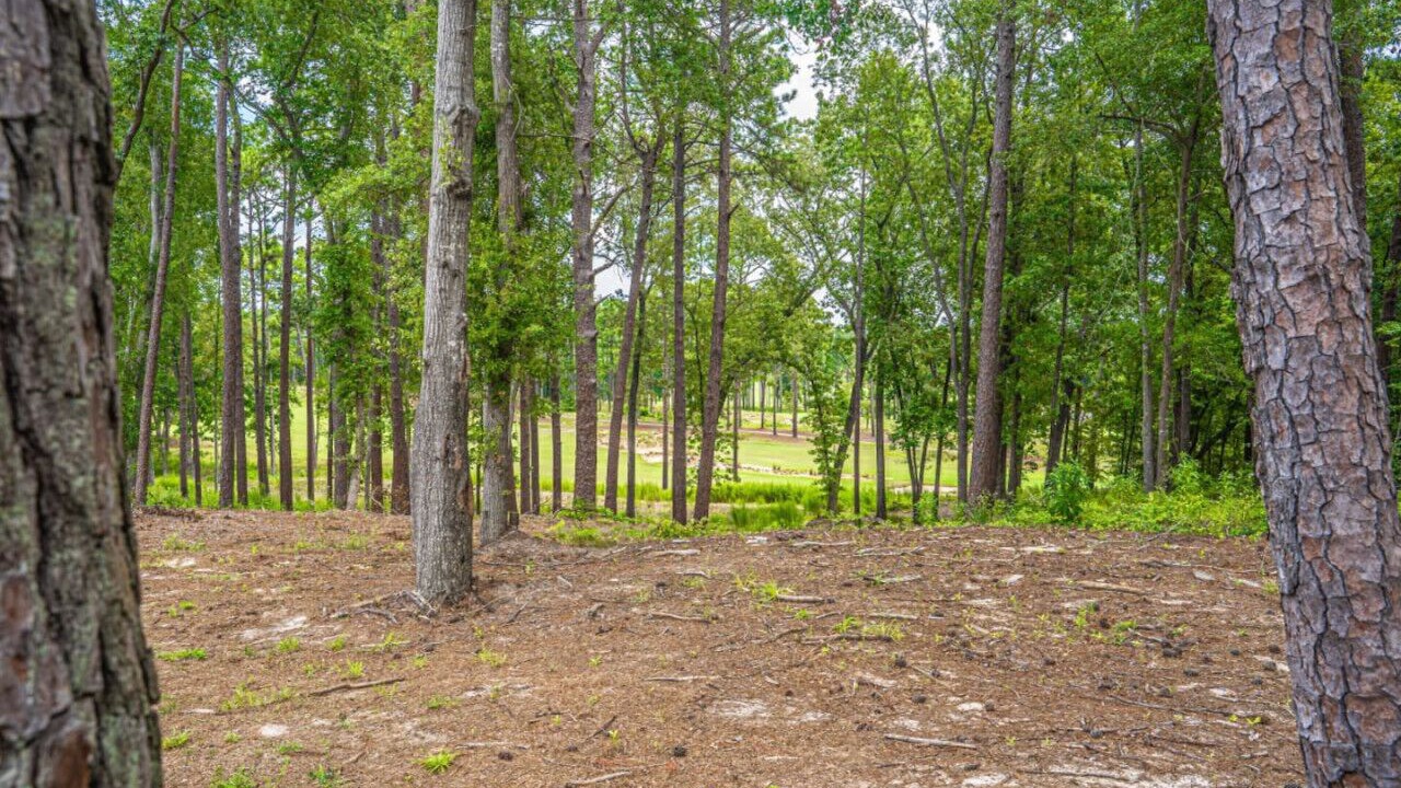 Photo of Others in Southern Pines