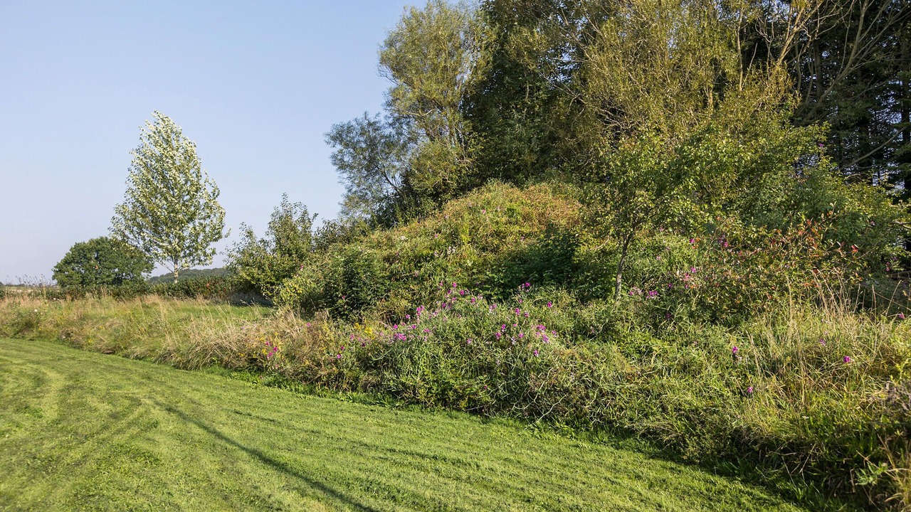 Photo of Others in Bjert