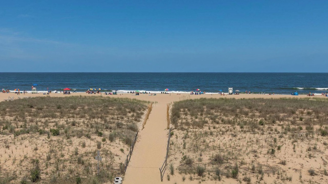 Photo of Others in Sandbridge