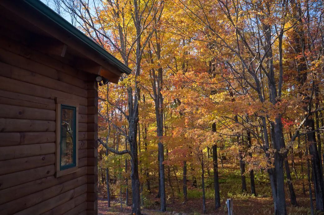 Photo of Outdoor in Prattsville