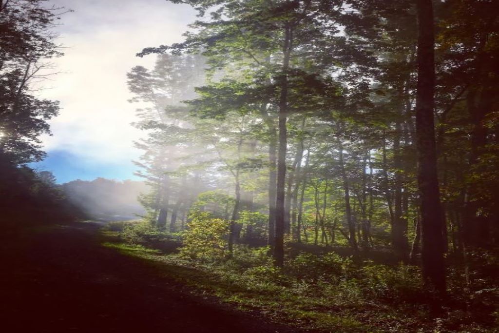 Photo of Others in Prattsville