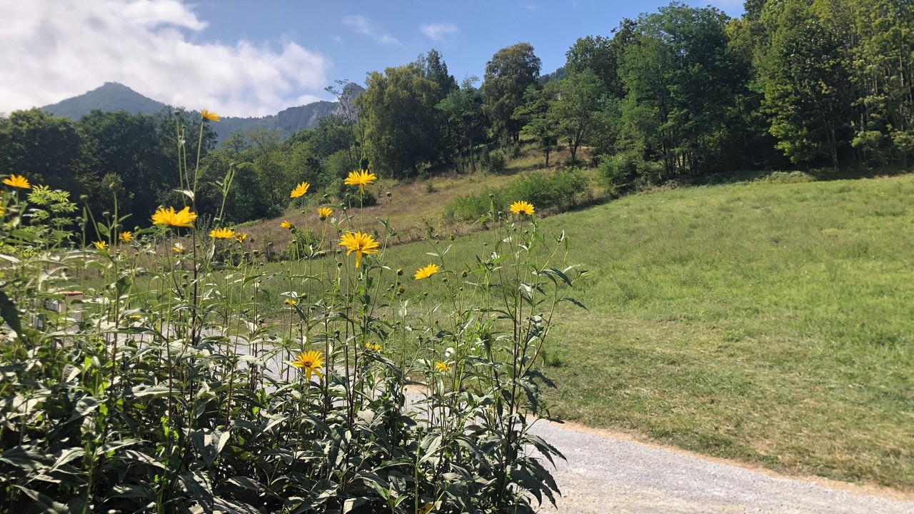 Photo of Outdoor in Surba