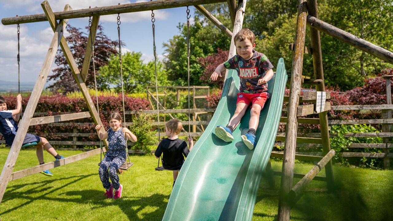 Photo of Others in Fence