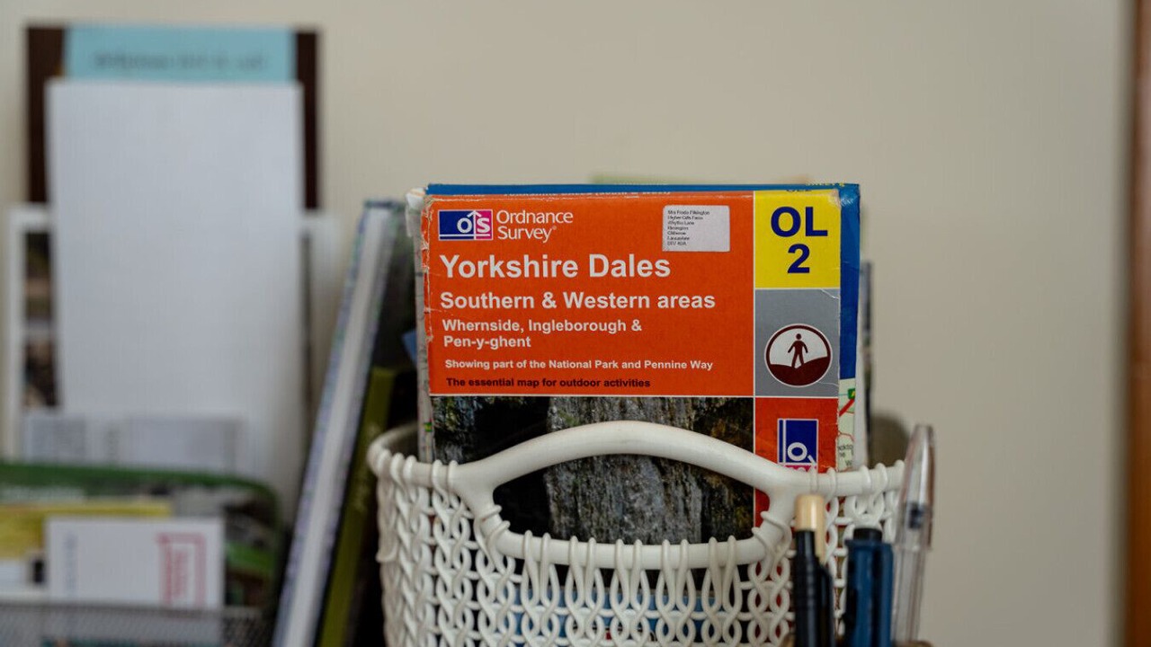 Photo of Others in Fence