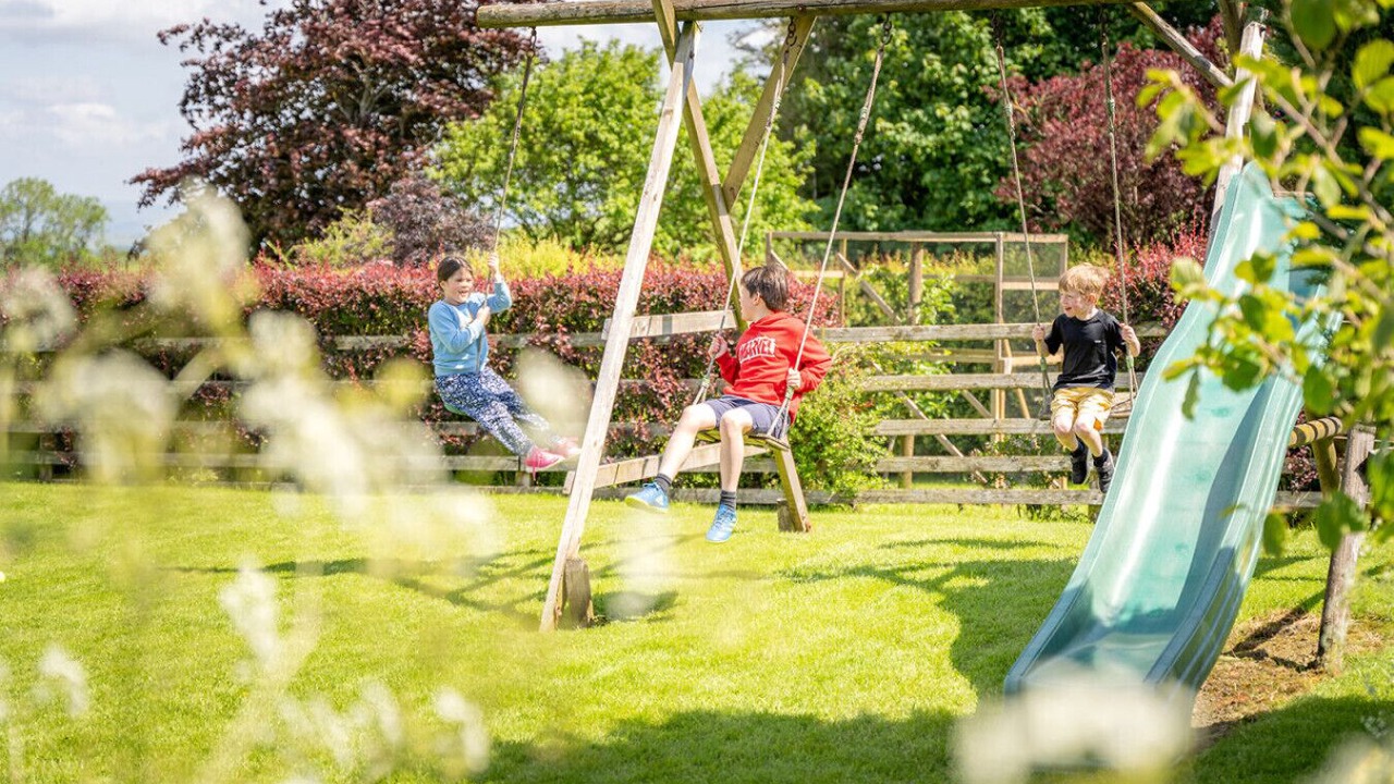 Photo of Others in Fence