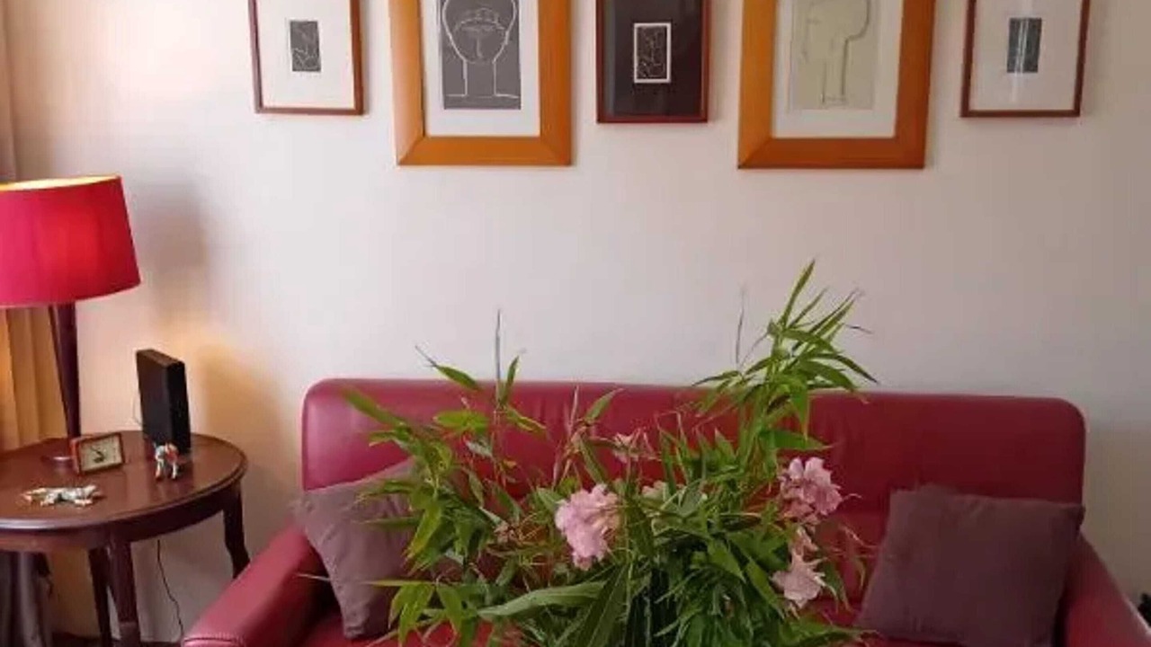 Photo of Livingroom in Ales