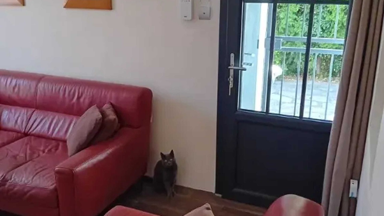 Photo of Livingroom in Ales