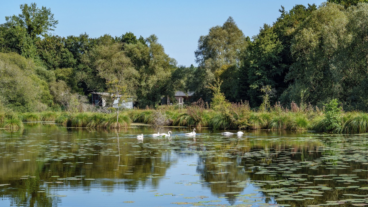 Photo of Outdoor in Mazieres-de-Touraine