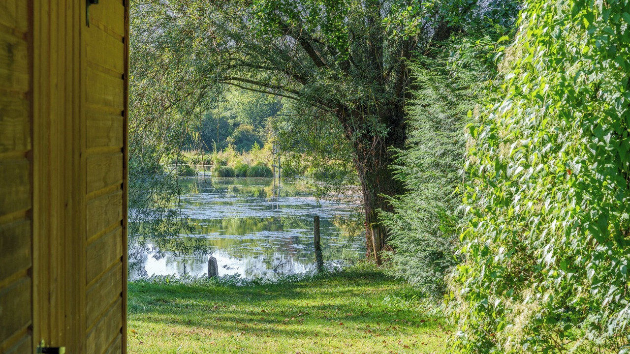 Photo of Outdoor in Mazieres-de-Touraine