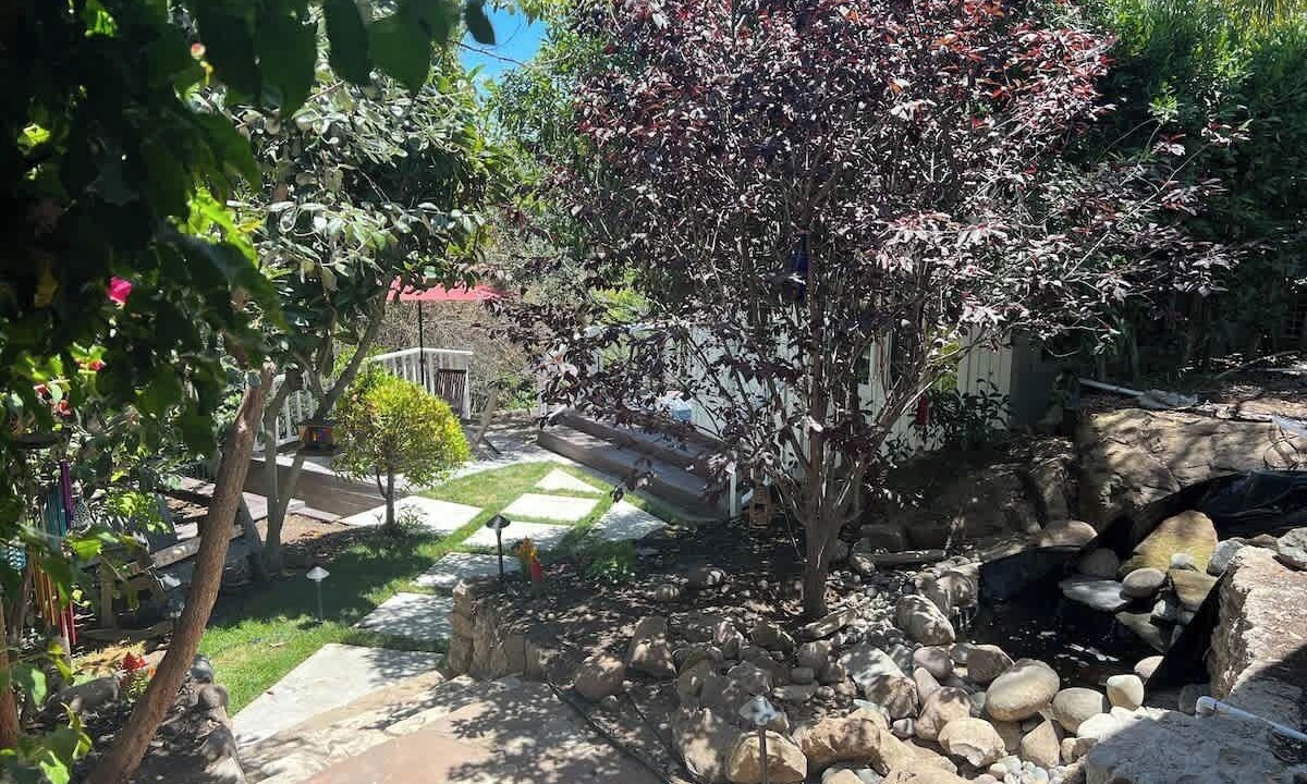 Photo of Outdoor in Fernwood