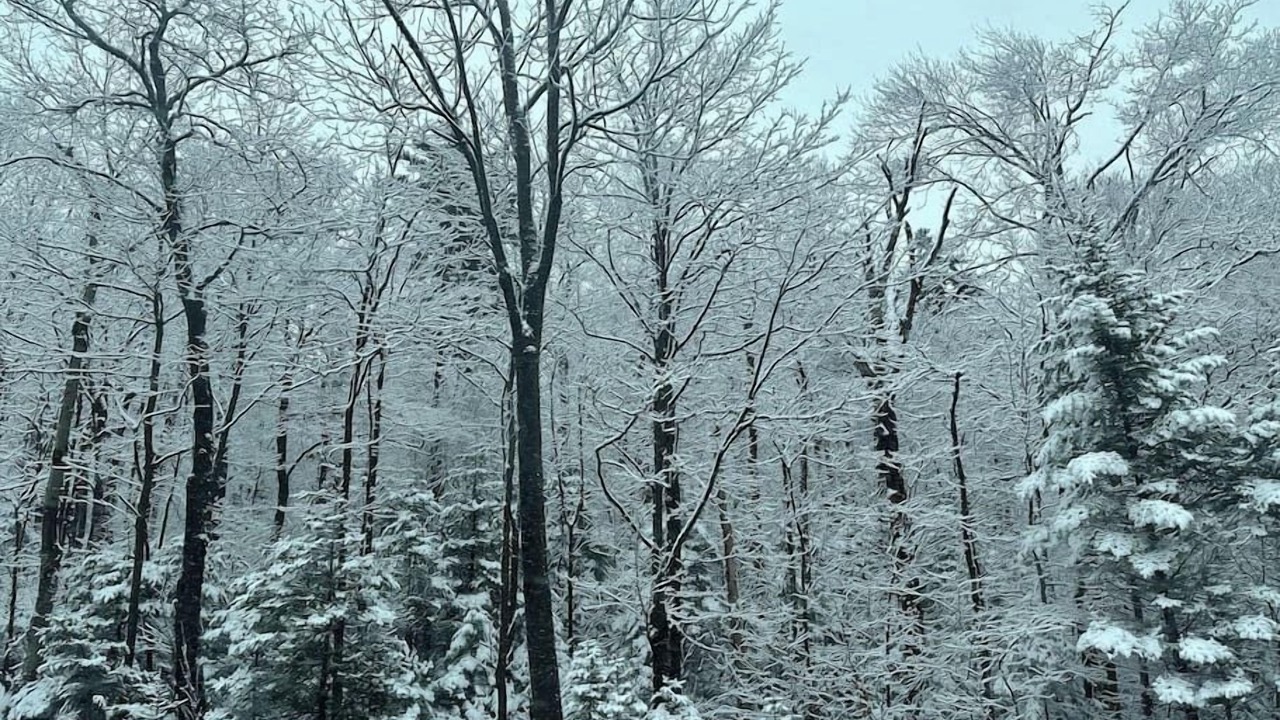 Photo of Others in Stratton Mountain