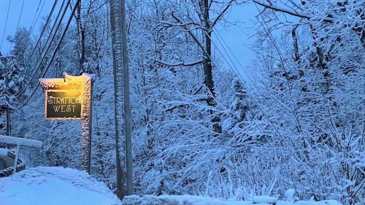 Photo of Others in Stratton Mountain