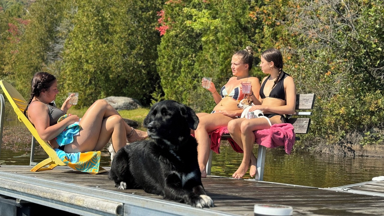 Photo of Others in Chertsey