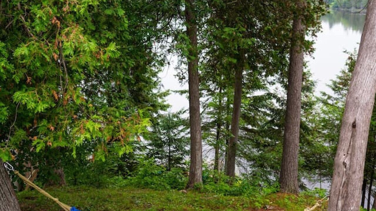 Photo of Outdoor in L'lle-du-Grand-Calumet