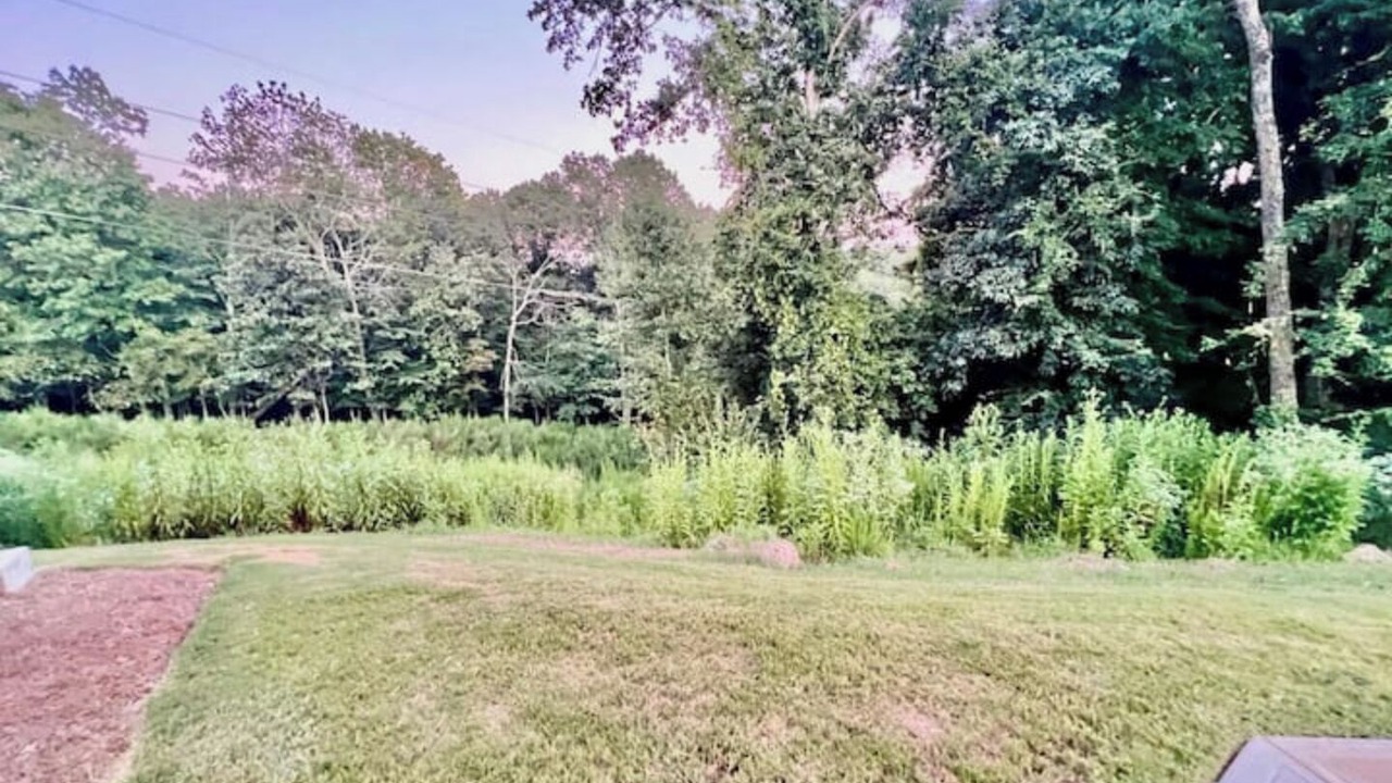 Photo of Outdoor in Gainesville