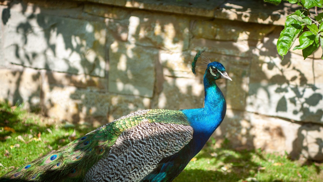 Photo of Outdoor in Chathill