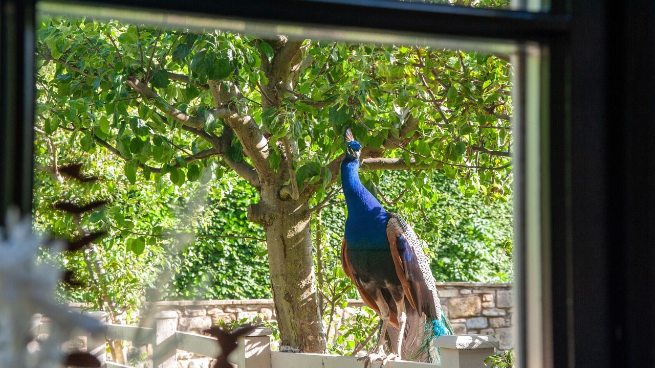 Photo of Outdoor in Chathill