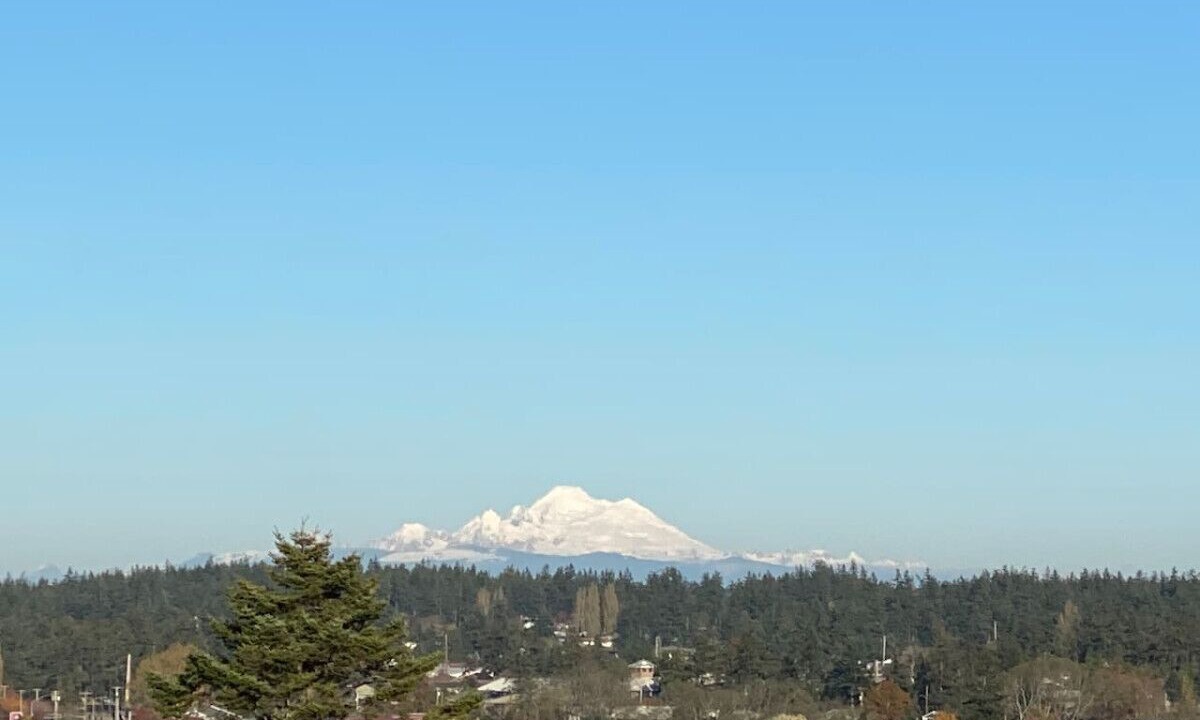 Photo of Others in Oak Harbor