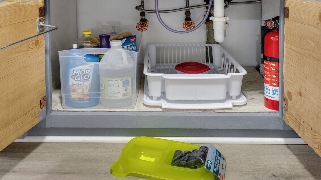 Photo of Others in Forestview