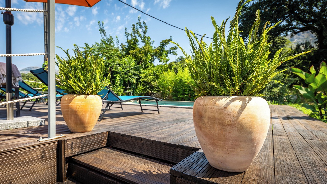Photo of Outdoor in Mlini