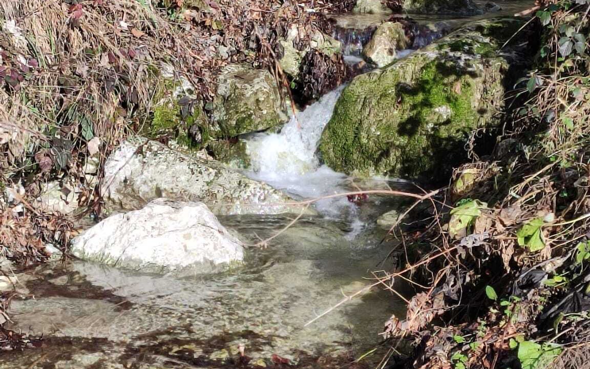 Photo of Others in Saint-Pierre-d'Entremont
