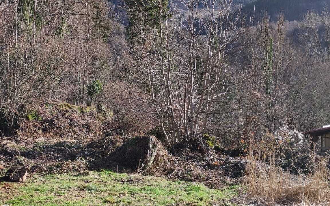 Photo of Others in Saint-Pierre-d'Entremont