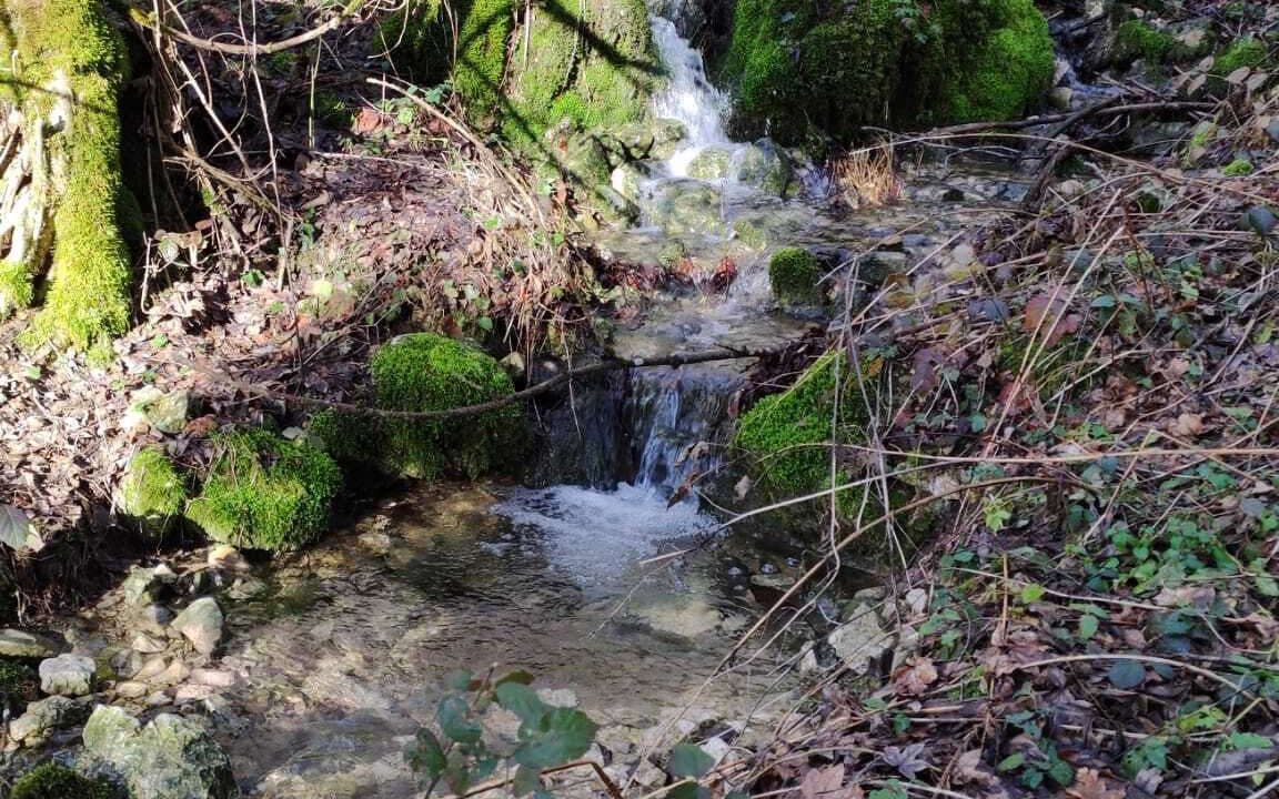 Photo of Outdoor in Saint-Pierre-d'Entremont