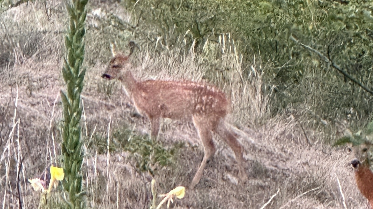 Photo of Outdoor in Merlimont