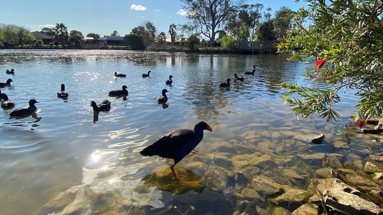 Photo of Others in Mooroopna