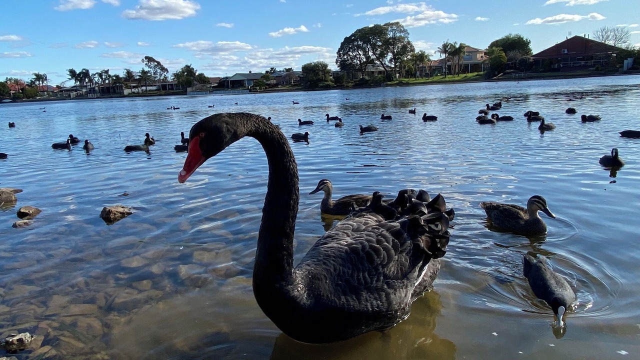 Photo of Others in Mooroopna