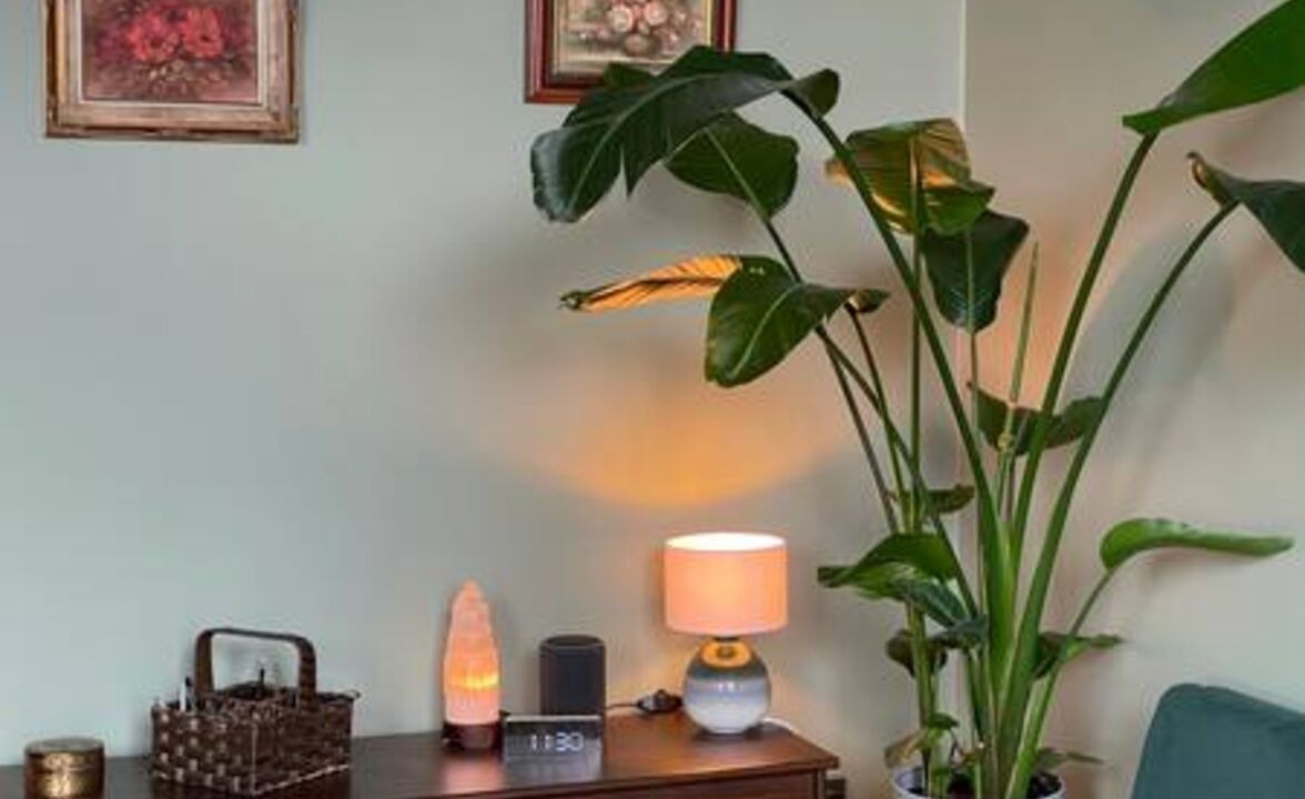 Photo of Others in Clapton