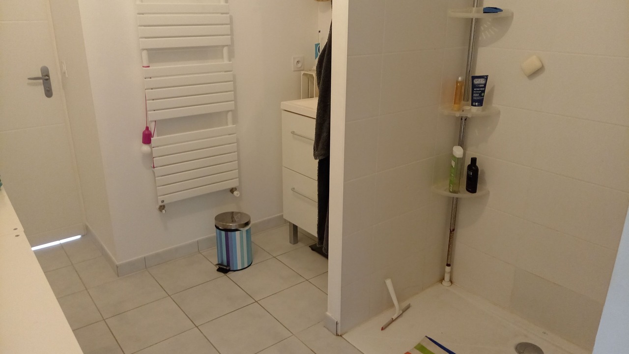 Photo of Bathroom in Saumur