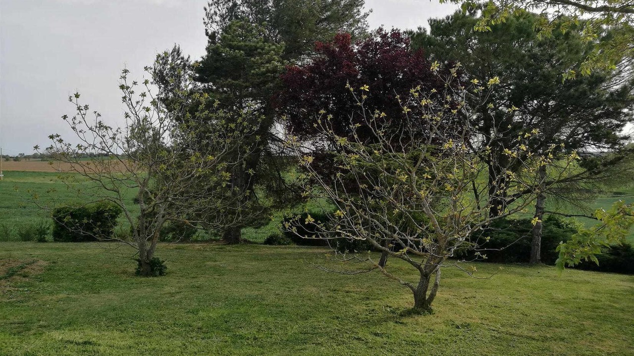 Photo of Outdoor in Auriac-sur-Vendinelle