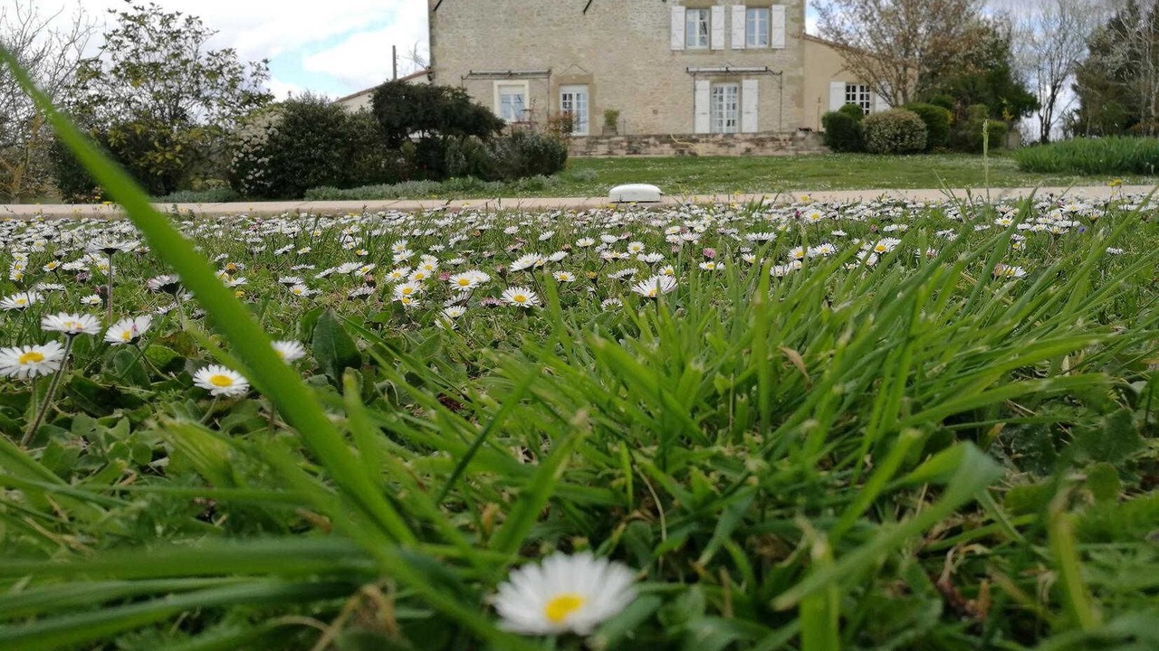 Photo of Outdoor in Auriac-sur-Vendinelle