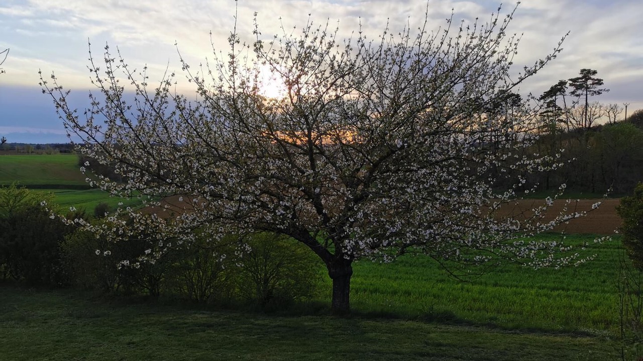 Photo of Outdoor in Auriac-sur-Vendinelle