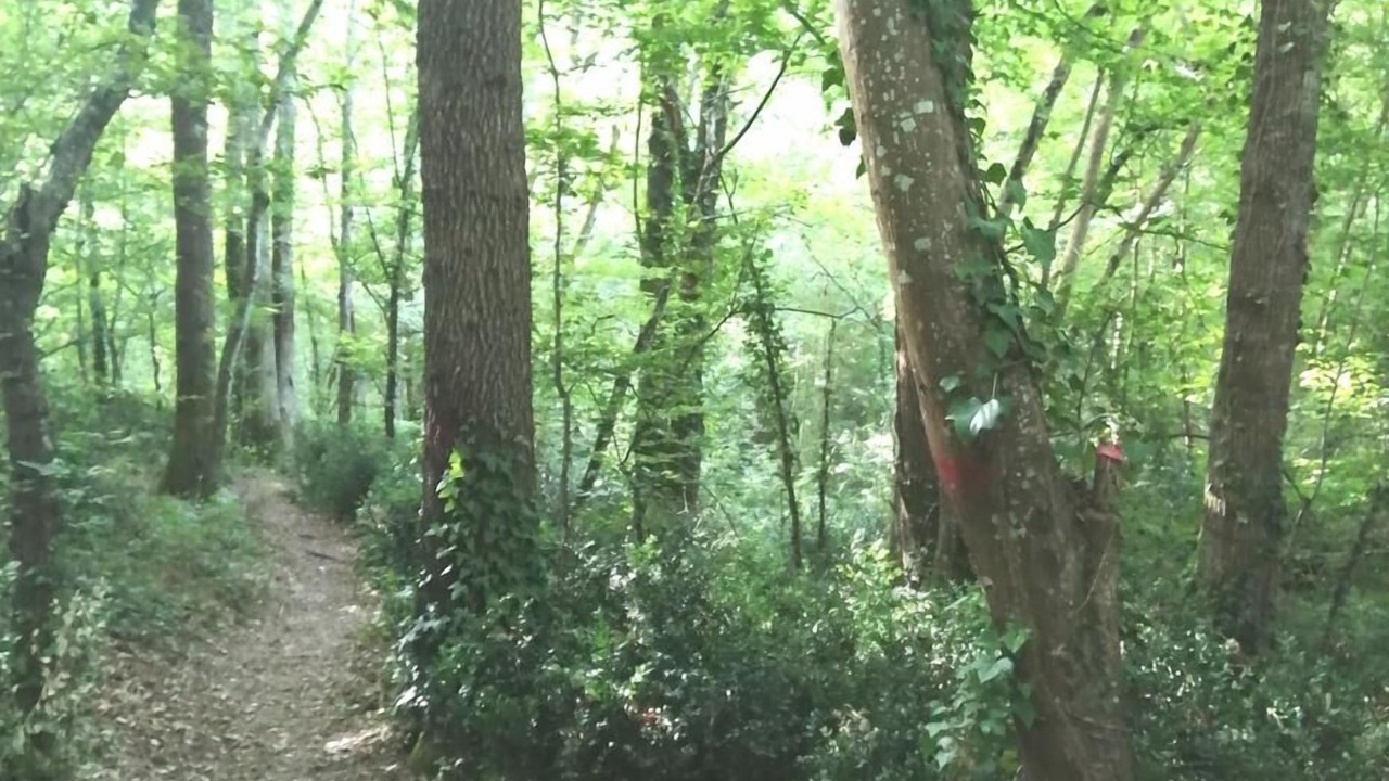 Photo of Others in Villaudric