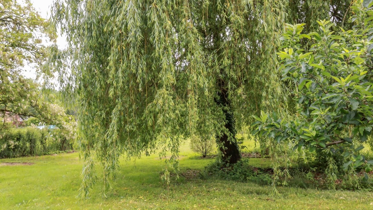 Photo of Outdoor in Villaudric