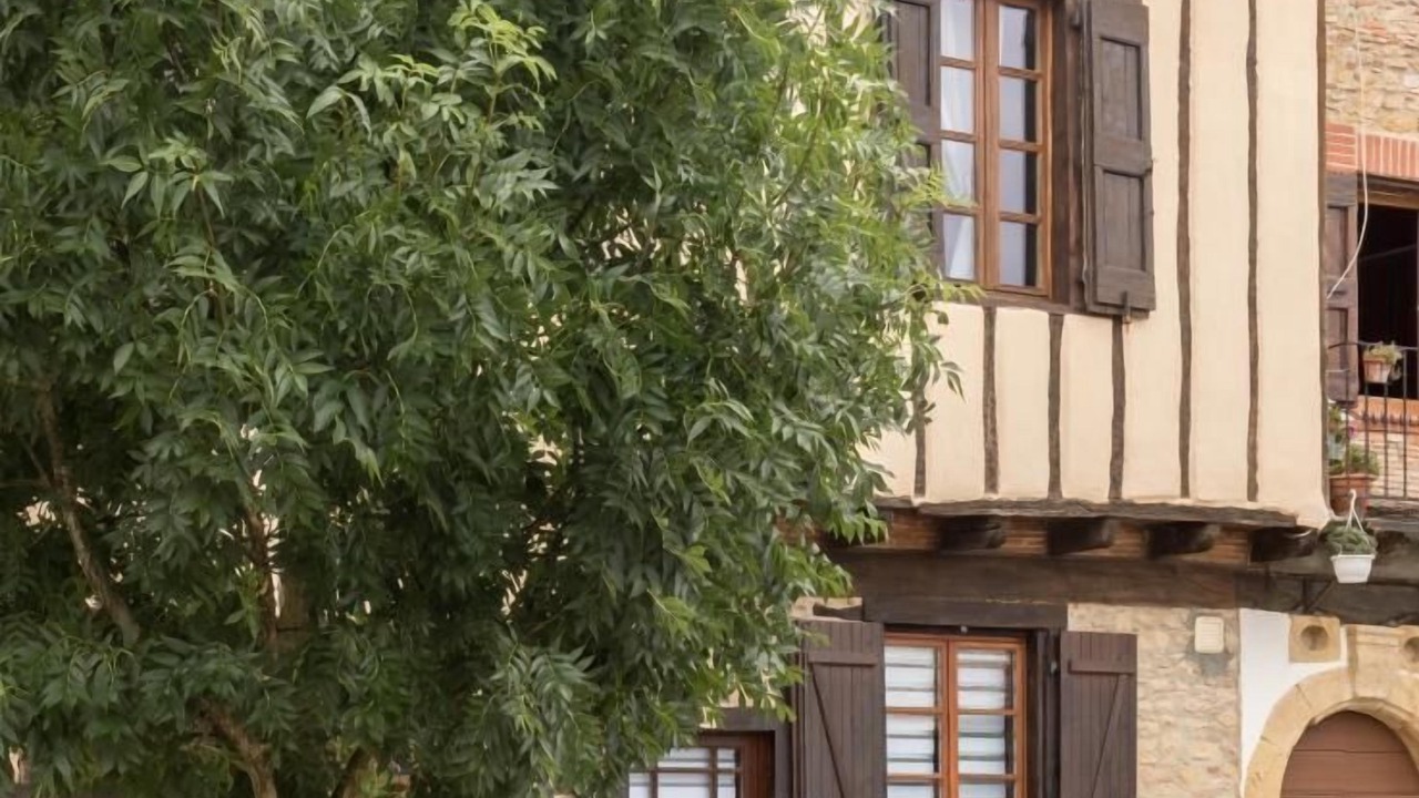 Photo of Outdoor in Saint-Felix-Lauragais
